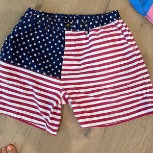 Chubbies mens shorts large